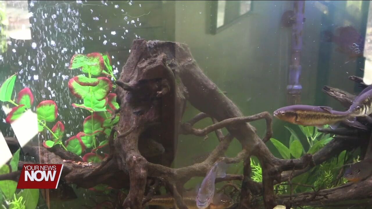 Open house showcases upgrades to JAMPD's McElroy Environmental Education Center